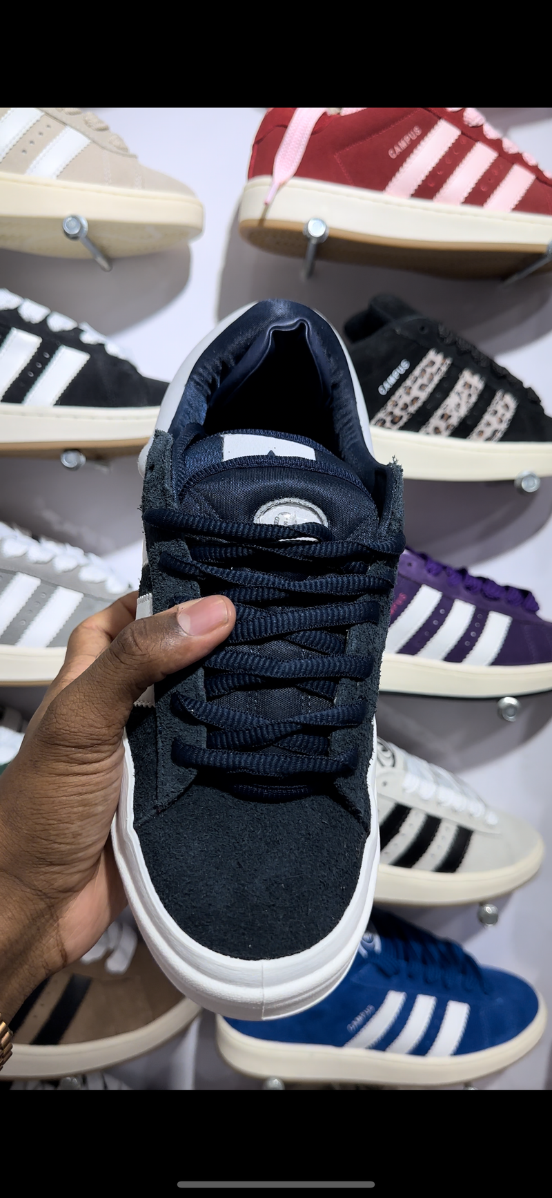 Adidas campus bunny