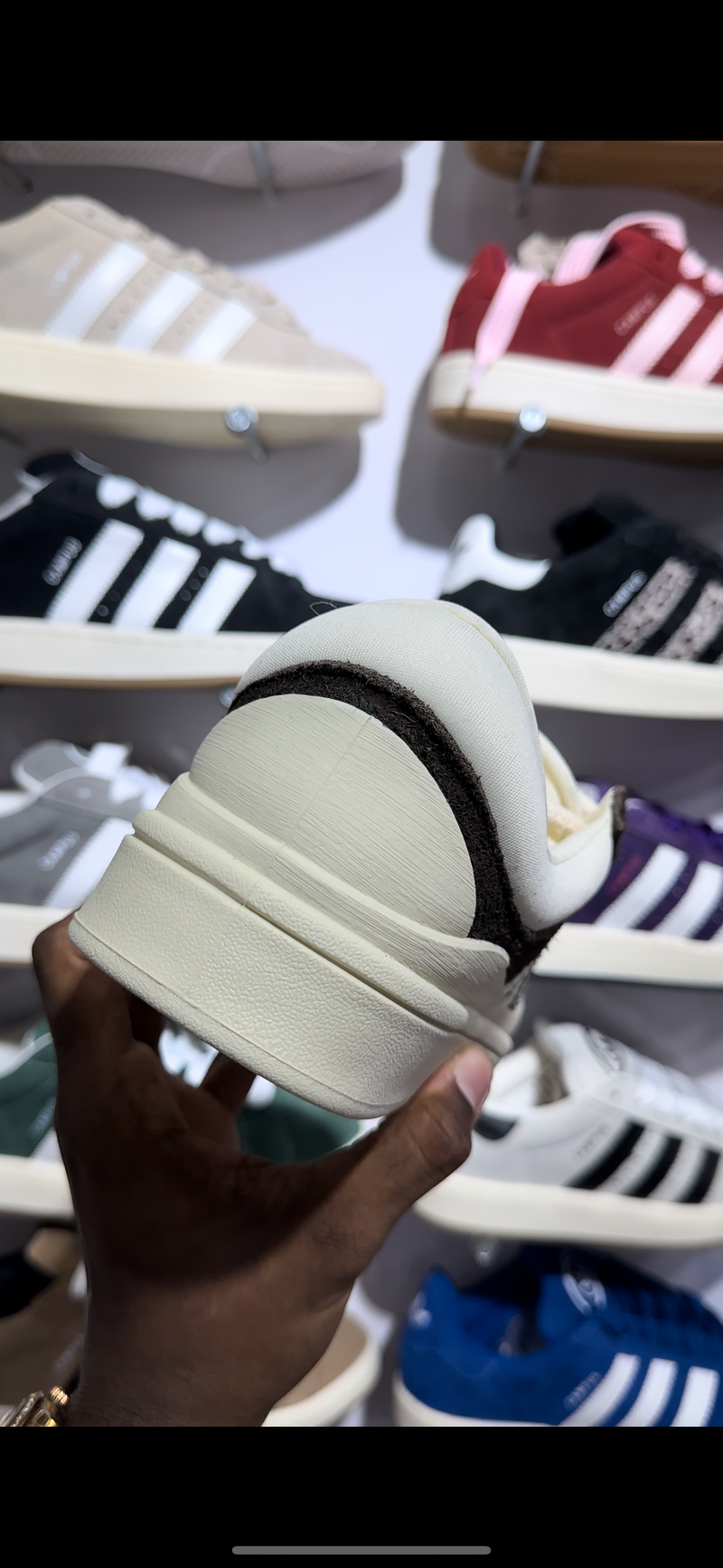 Adidas campus bunny