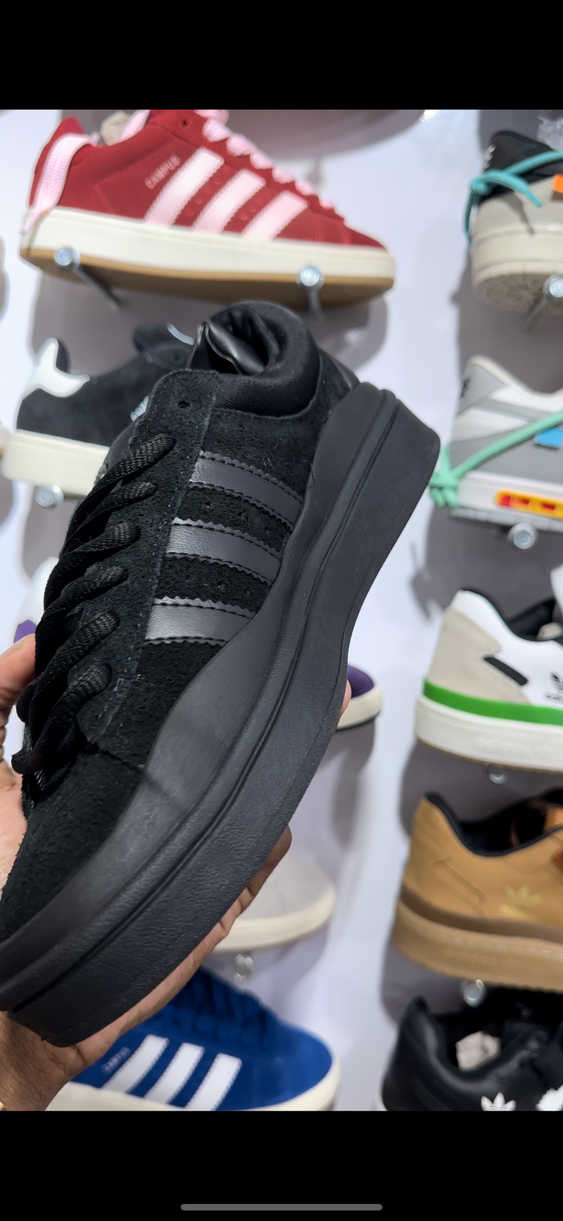 Adidas campus bunny