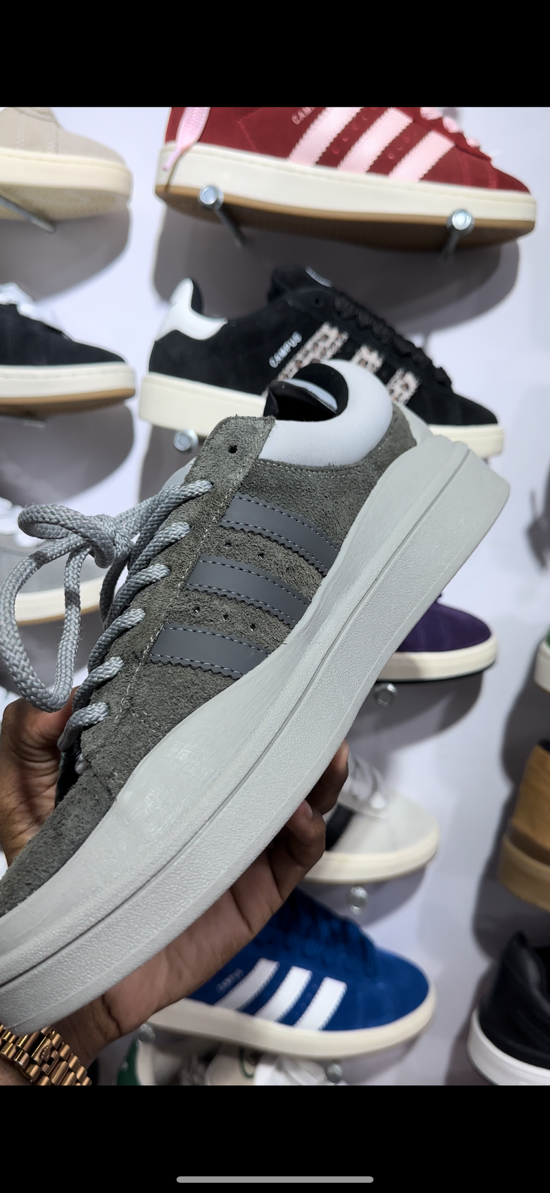 Adidas campus bunny