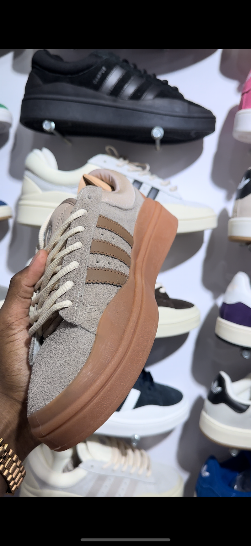 Adidas campus bunny