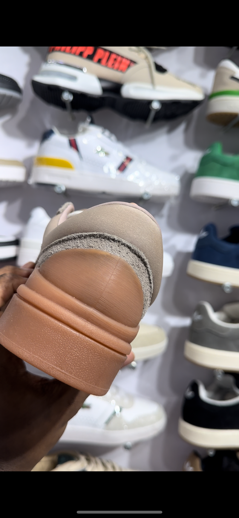 Adidas campus bunny
